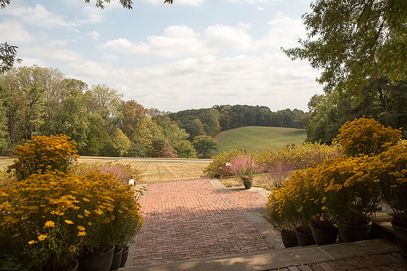 LOWRes_MCC_TREEFEST19-a_PhotographsbyAlessandra-73