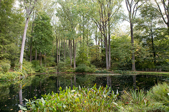 LOWRes_MCC_TREEFEST19-a_PhotographsbyAlessandra-27