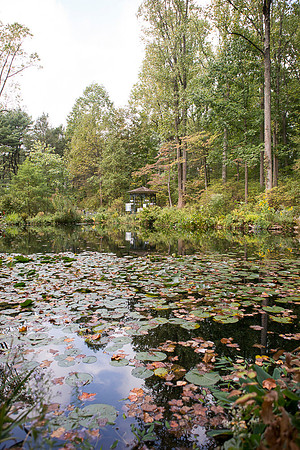 LOWRes_MCC_TREEFEST19-a_PhotographsbyAlessandra-38