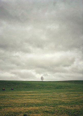 The Tree Up On the Hill